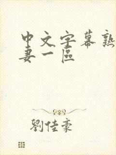 中文字幕熟女人妻一区