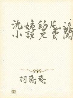 沈姨的风流人生小说免费阅读全文