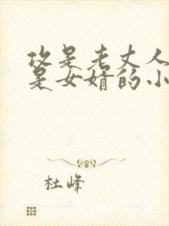 攻是老丈人,受是女婿的小说生子文封面