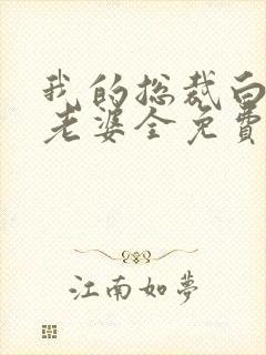 我的总裁白富美老婆全免费的小说封面