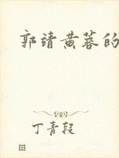 郭靖黄蓉的小说