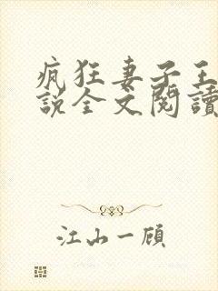 疯狂妻子王慧小说全文阅读