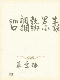 sm调教男生重口捆绑小说