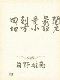 回到爱最开始的地方小说免费阅读