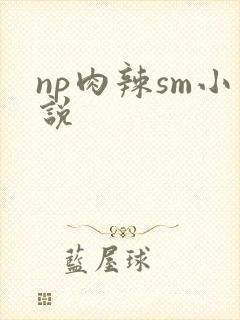 np肉辣sm小说