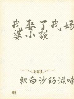 我娶了我妈当老婆小说
