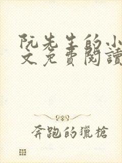 阮先生的小说全文免费阅读无弹窗