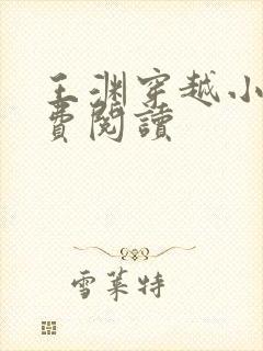 王渊穿越小说免费阅读封面