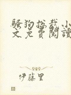 骚狗总裁小说全文免费阅读最新章节封面