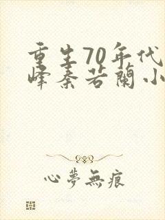 重生70年代陆峰秦若兰小说