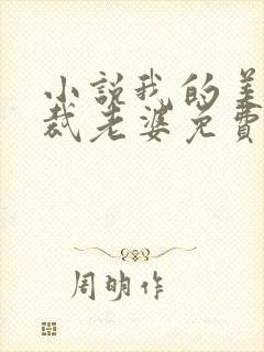 小说我的美女总裁老婆免费阅读