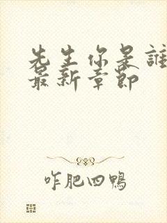 先生你是谁小说最新章节