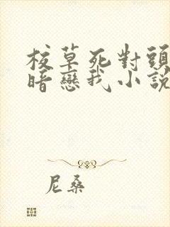 校草死对头竟然暗恋我小说免费阅读封面