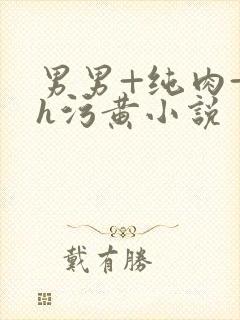 男男+纯肉+高h污黄小说