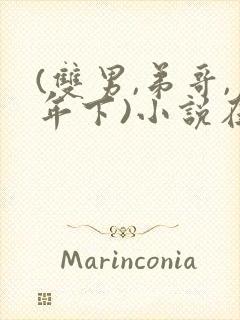 (双男,弟哥,年下)小说在线阅读