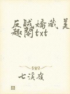 反贼娇藏美人笔趣阁txt封面