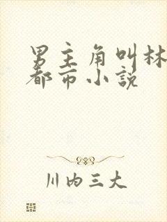 男主角叫林默的都市小说