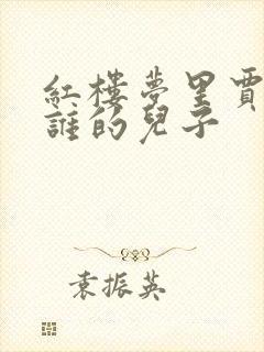 红楼梦里贾兰是谁的儿子