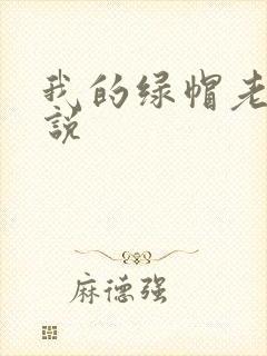 我的绿帽老公小说