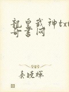 龙皇武神txt奇书网