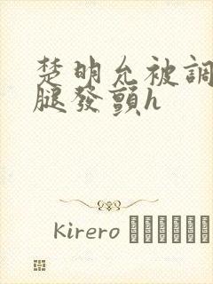 楚明允被调教到腿发颤h