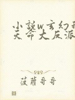 小说w玄幻我是天命大反派》封面