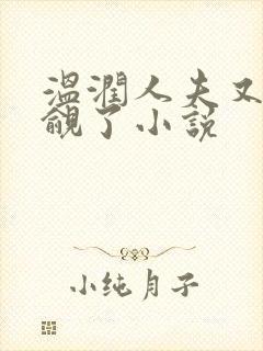 温润人夫又被觊觎了小说封面