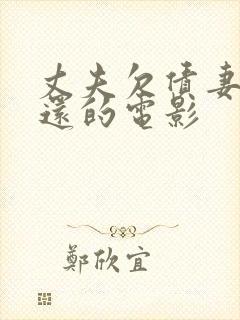 丈夫欠债妻子偿还的电影