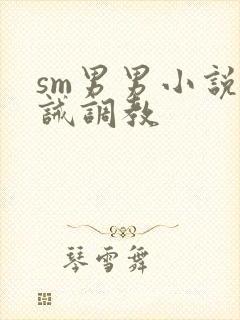 sm男男小说训诫调教封面