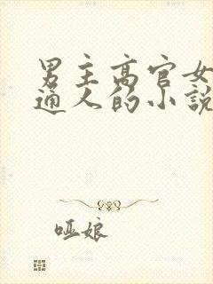 男主高官女主普通人的小说