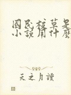 国民校草是女生小说用什么app可以免费