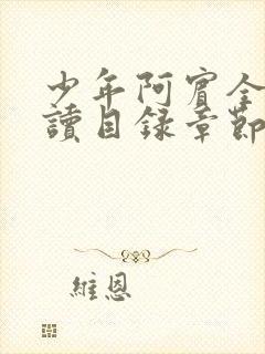 少年阿宾全文阅读目录章节