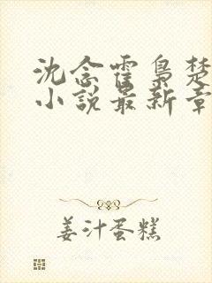 沈念霍枭楚莹莹小说最新章节更新免费阅读