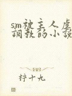 sm被主人虐玩调教的小说