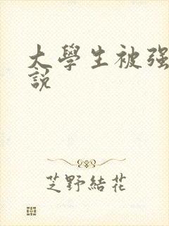 大学生被强暴小说