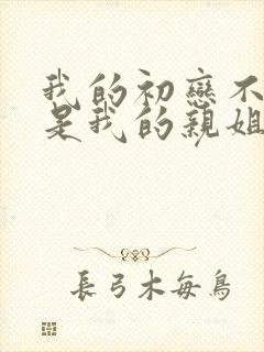 我的初恋不可能是我的亲姐姐2集