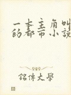 一本主角叫林天的都市小说