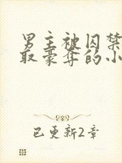 男主被囚禁被强取豪夺的小说