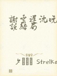 谢云迟沈晚梨小说结局