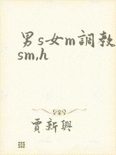 男s女m调教(sm,h