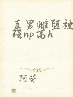 直男雌堕被疯批强np高h