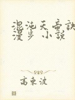 混沌天帝诀随风漫步 小说封面