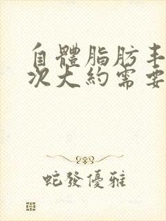 自体脂肪丰胸一次大约需要多少钱