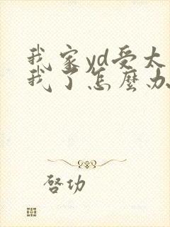 我家yd受太爱我了怎么办小说免费阅读