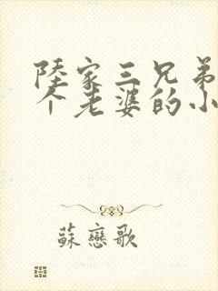 陆家三兄弟共一个老婆的小说