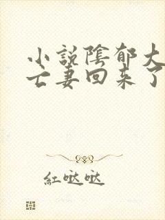 小说阴郁大佬的亡妻回来了免费阅读封面