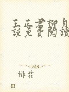 王正君柳月瑶小说免费阅读最新章节封面