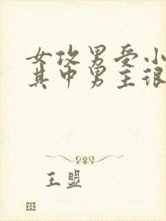 女攻男受小说,其中男主很卑微封面