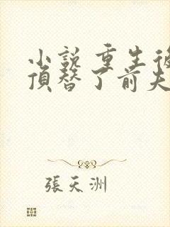 小说 重生后我顶替了前夫白月光封面