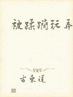 被蹂躏玩弄小说
